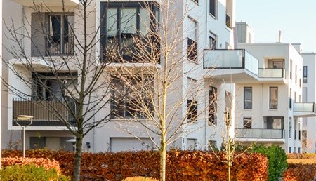 Compulsory Strata Managers