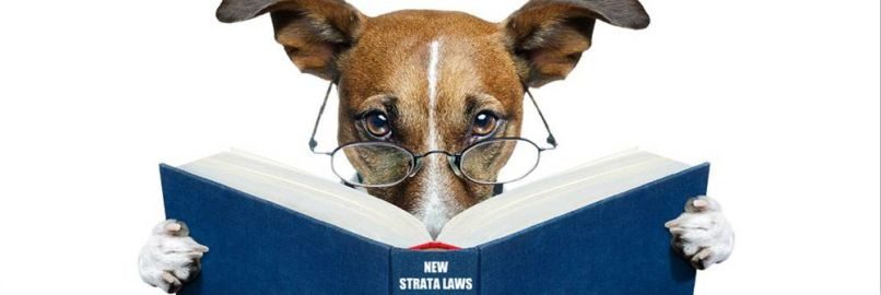 Pet Bylaws in NSW Strata