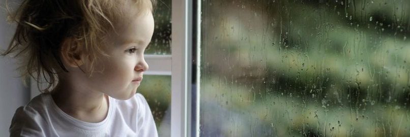 strata by-laws window safety devices