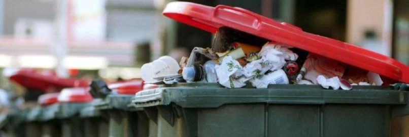 A Load of Rubbish in Strata NCAT
