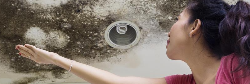 Mould in Strata - Who is Responsible?