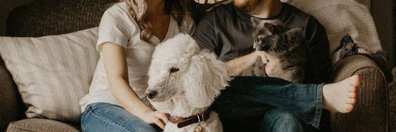 Landlords Rentals Tenants and Pets in Strata Rentals
