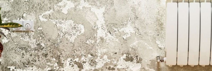 owners.corporations.water.ingress.and.mould.in.strata.apartments