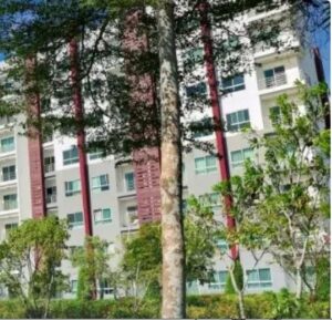 Trees Blocking Views in Strata Living